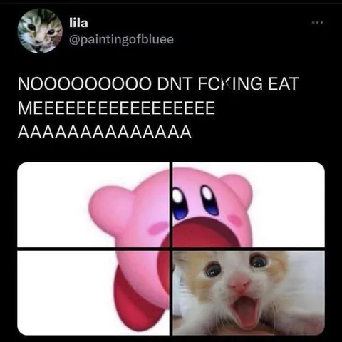 Kirby and Cat Screaming No