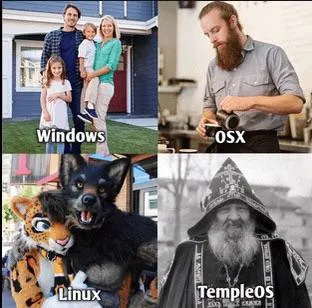 Windows, OSX, Linux, TempleOS