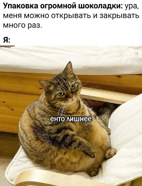 Кот против многоразовой упаковки