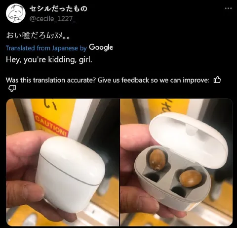 嘘だろムスメの誤訳