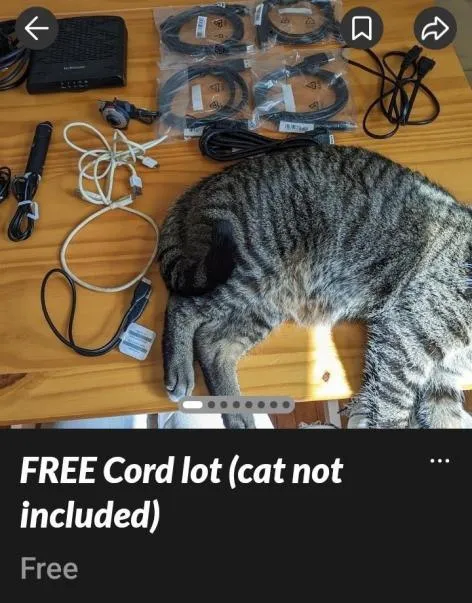 Free Cord Lot Cat Not Included