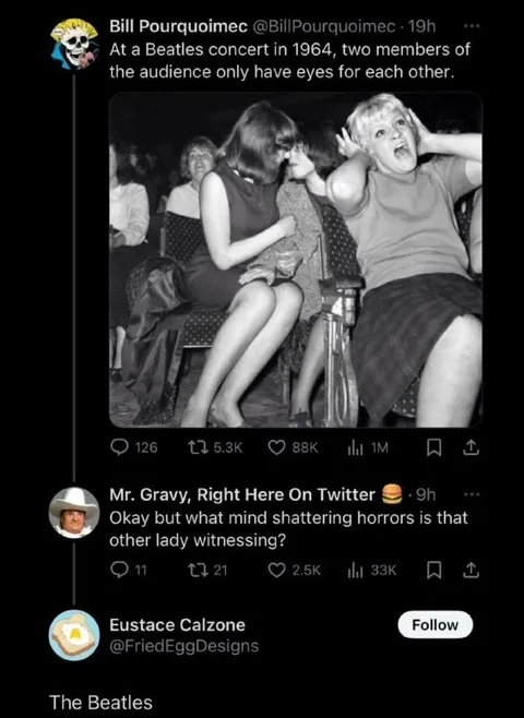 Beatles Concert Horror Witness