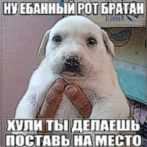 НУ ЕБАННЫЙ РОТ БРАТАН