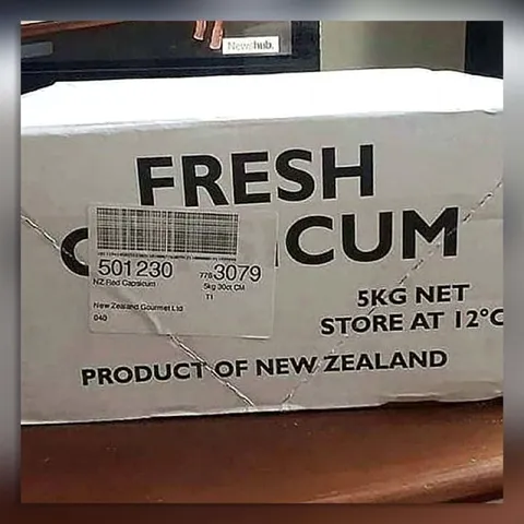 Fresh Cum New Zealand Box
