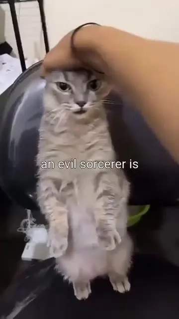 Terrifying Cat Sorcerer Video