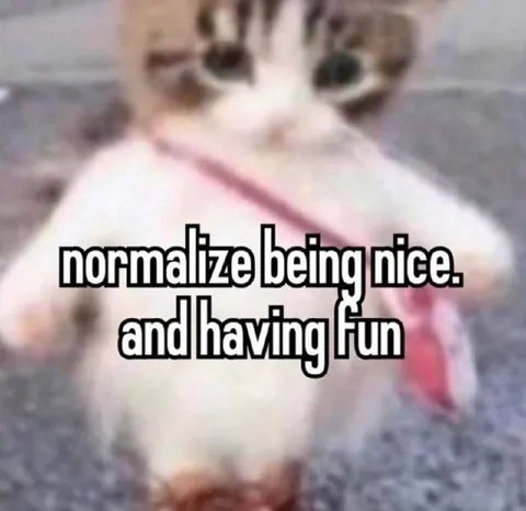 Normalize Being Nice and Having Fun