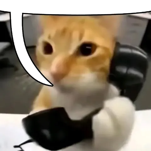 Кот говорит по телефону