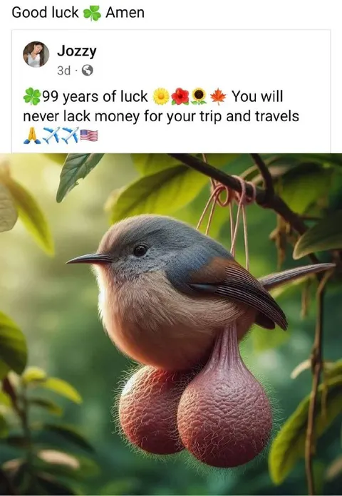Good Luck Bird Blessing