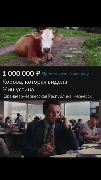 Корова, которая видела Мишустина