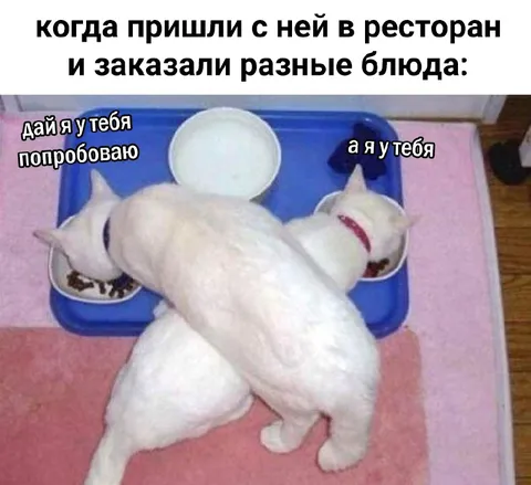 Когда заказали разные блюда