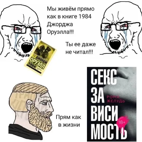 Мы живём как в 1984