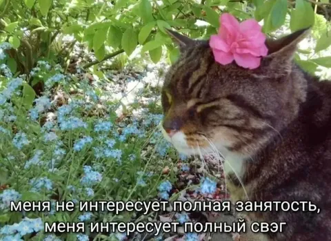 Полный дзен вместо занятости