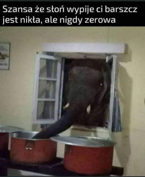Słoń pije barszcz