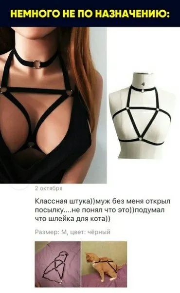 Шлейка для кота оказалась бельём