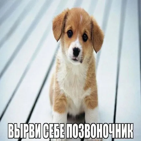 Вырви себе позвоночник