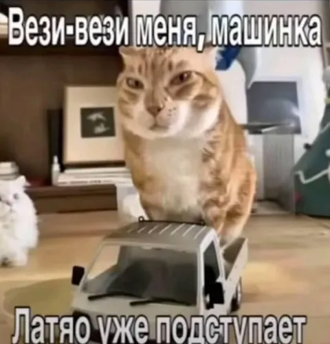 Вези-вези меня, машинка