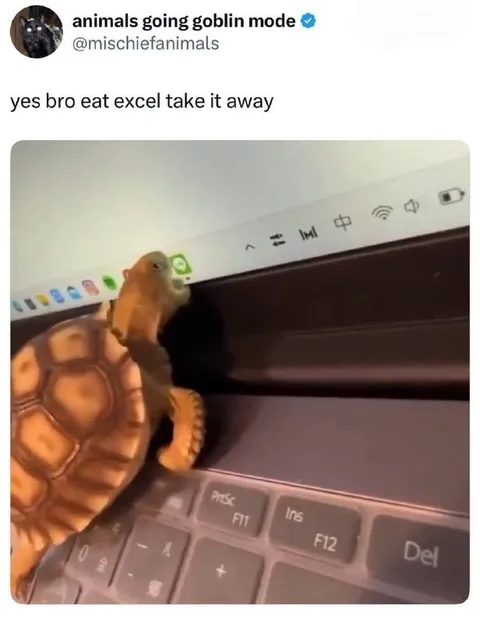 Turtle Eats Excel