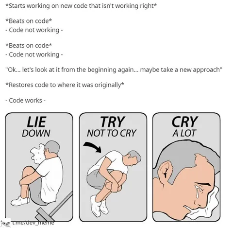 Code Finally Works After Crying
