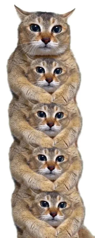 Башня из одинаковых котов
