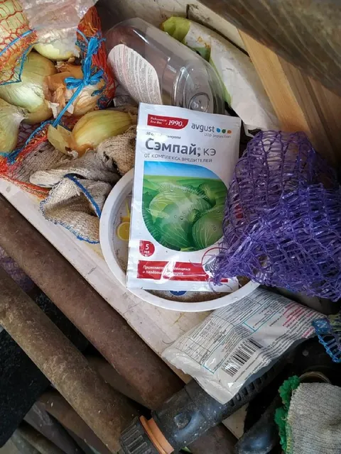 Сэмпай среди овощей