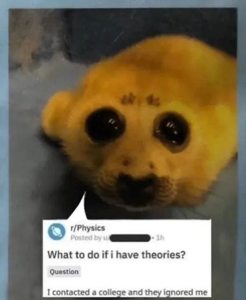 What to Do If I Have Theories?