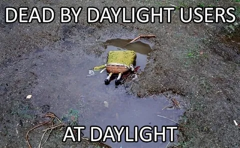 Dead by Daylight Users at Daylight