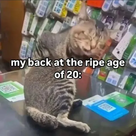 Cat With a Twenty-Year-Old Back