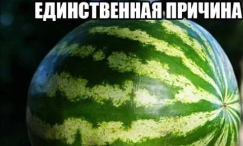 Единственная причина арбуза