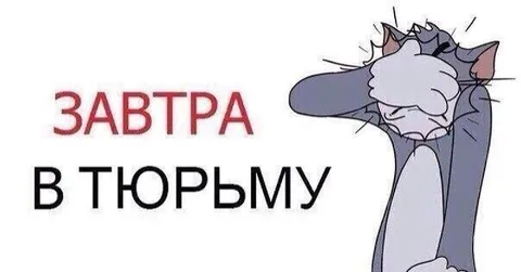 Завтра в тюрьму