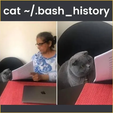 Cat Reads Bash History