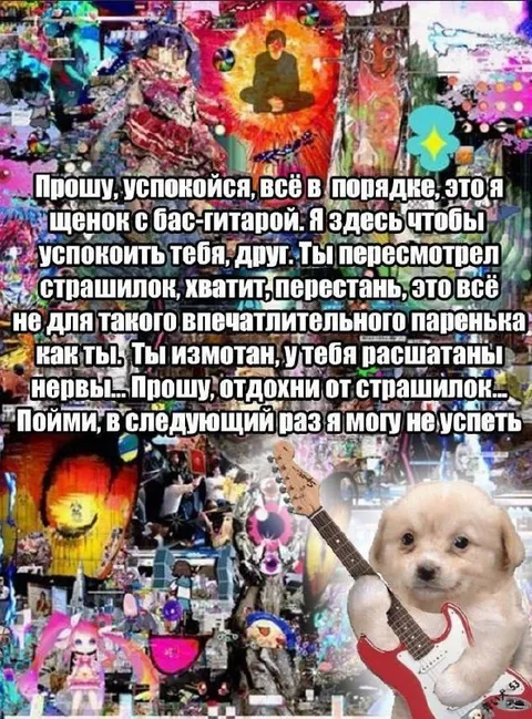 Щенок с бас-гитарой успокаивает