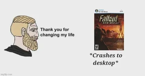 Fallout New Vegas Changed My Life