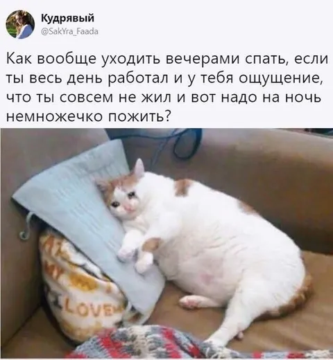 Как уйти спать вечером