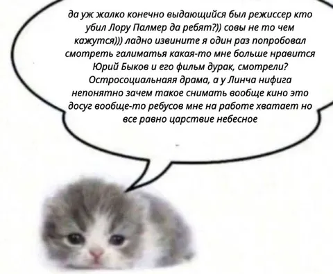 Котёнок про Линча и Быкова