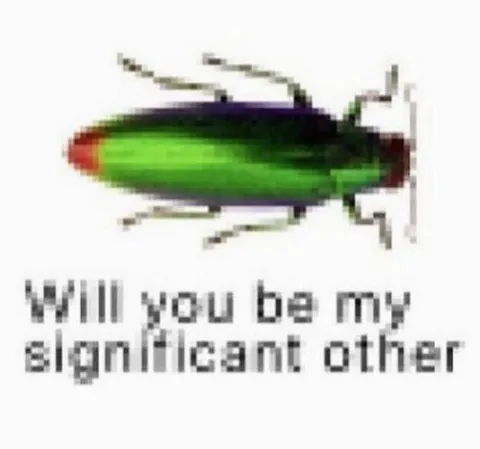 Cockroach Significant Other Proposal