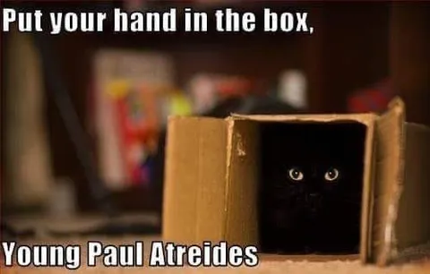 Young Paul Atreides Box Test