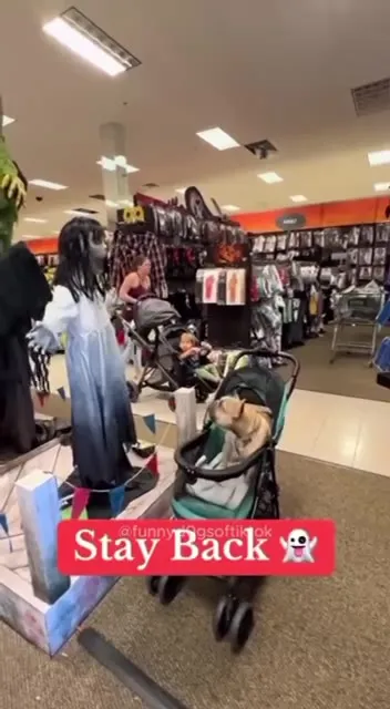 Dogs Meet Halloween Decorations