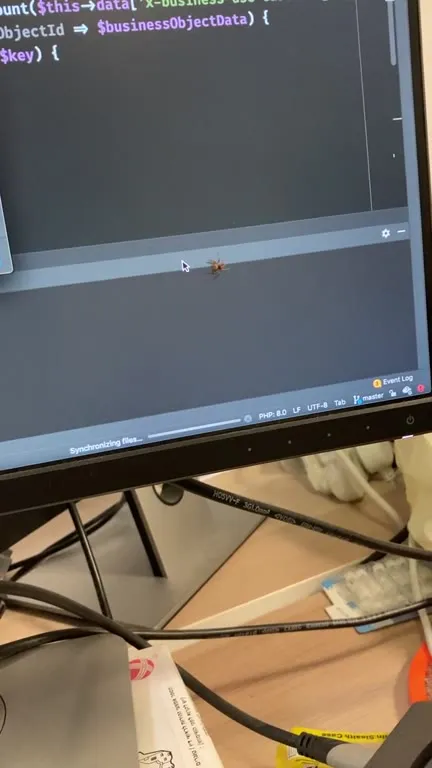 Fly on the Code Editor