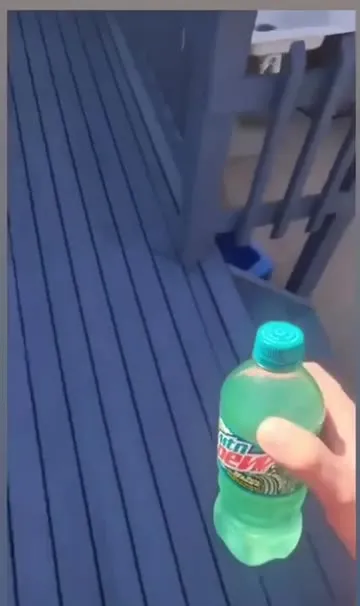 Cat Steals Mountain Dew