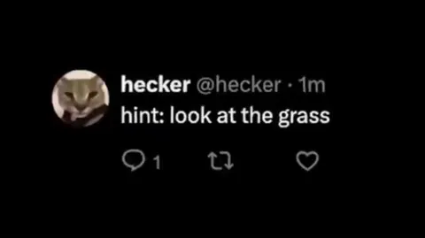 The Grass Investigation Goes Too Far