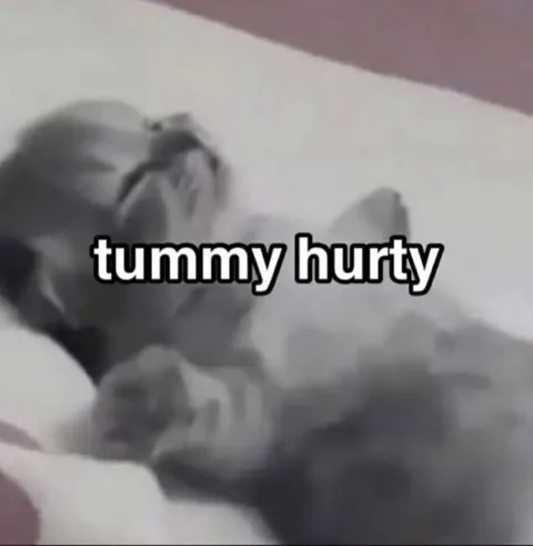 Tummy Hurty Cat