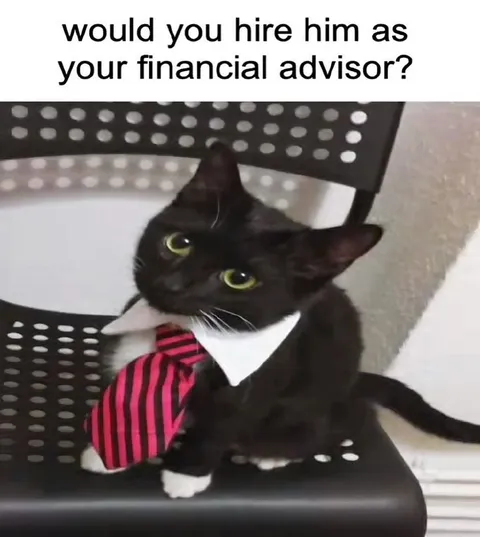 Cat Financial Advisor