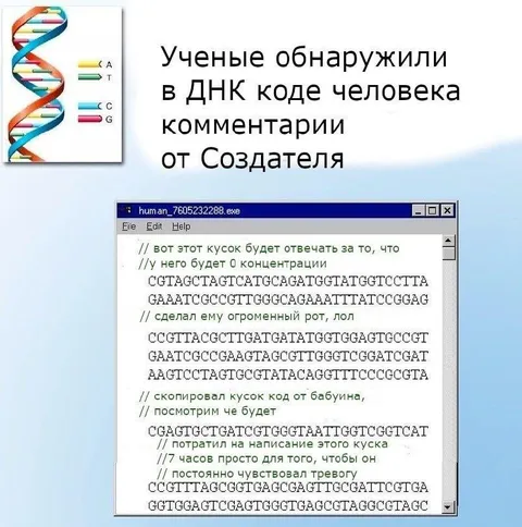 Комментарии Создателя в ДНК
