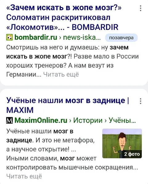 Учёные нашли мозг в заднице