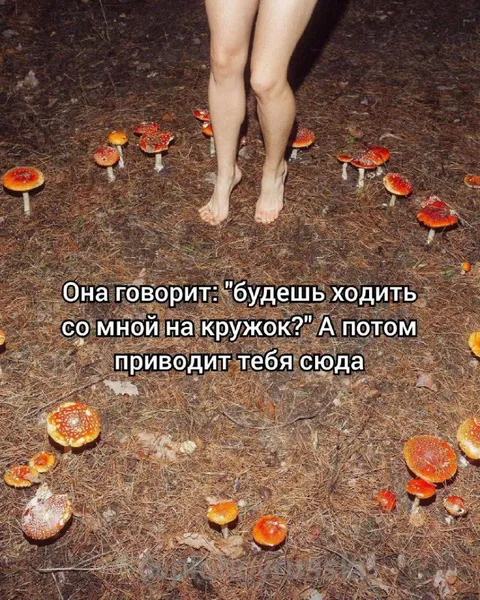 Кружок в лесу