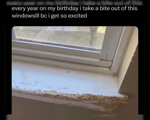Birthday Windowsill Bite