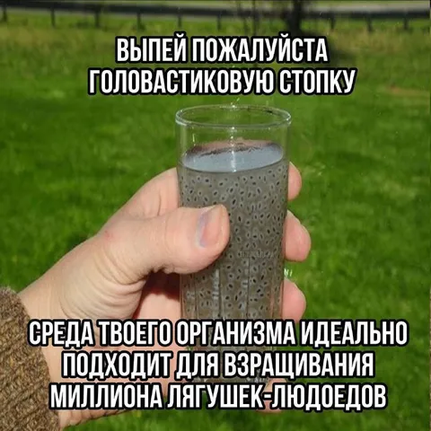 Головастиковая стопка для лягушек