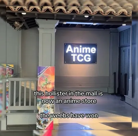 Anime Store Replaces Hollister