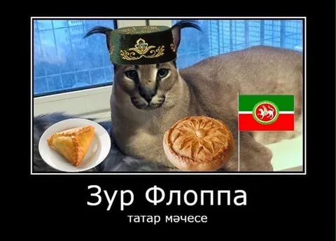 Зур Флоппа — татар мәчесе
