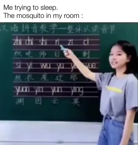 Mosquito Sings Me to Sleep